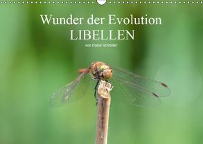 Wunder der Evolution Libellen (Wandkalender 2019 DIN A3 quer) von Schröder,  Diana