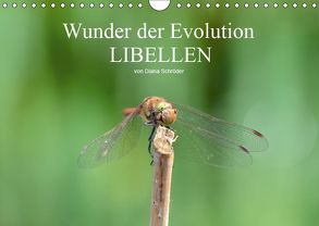 Wunder der Evolution Libellen (Wandkalender 2019 DIN A4 quer) von Schröder,  Diana