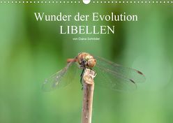 Wunder der Evolution Libellen (Wandkalender 2020 DIN A3 quer) von Schröder,  Diana