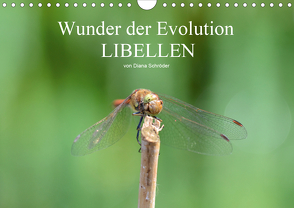 Wunder der Evolution Libellen (Wandkalender 2020 DIN A4 quer) von Schröder,  Diana