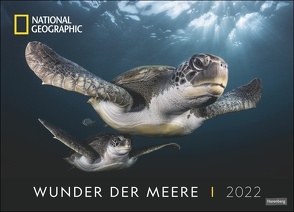 Wunder der Meere – Oceans Edition National Geographic Kalender 2022 von NAT GEO