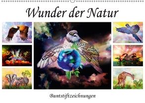 Wunder der Natur – Buntstiftzeichnungen (Wandkalender 2018 DIN A2 quer) von Djeric,  Dusanka