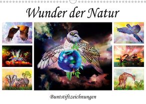 Wunder der Natur – Buntstiftzeichnungen (Wandkalender 2020 DIN A3 quer) von Djeric,  Dusanka