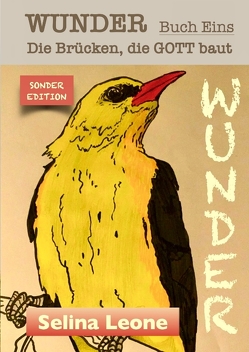 WUNDER – Die Brücken, die Gott baut. Geschichten mit Botschaften. #DASWUNDERKOMMTVONINNEN #GESCHENK #CHANCE #HEILUNG von Leone,  Selina, verschiedene Autoren