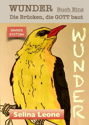 WUNDER – Die Brücken, die Gott baut. Geschichten mit Botschaften. #DASWUNDERKOMMTVONINNEN #GESCHENK #CHANCE #HEILUNG von Leone,  Selina, verschiedene Autoren