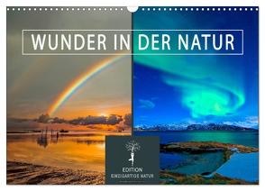 Wunder in der Natur (Wandkalender 2024 DIN A3 quer), CALVENDO Monatskalender von Roder,  Peter