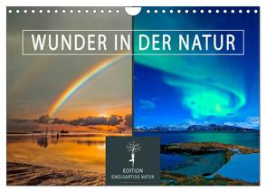 Wunder in der Natur (Wandkalender 2024 DIN A4 quer), CALVENDO Monatskalender von Roder,  Peter