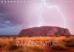 Wunder Natur II (Tischkalender 2019 DIN A5 quer) von Schaarschmidt,  Christoph