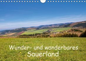 Wunder- und wanderbares Sauerland (Wandkalender 2019 DIN A4 quer) von Dürr,  Brigitte