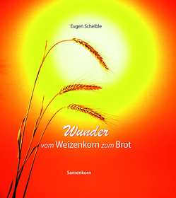 Wunder vom Weizenkorn zum Brot von Scheible,  Eugen