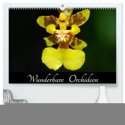 Wunderbare Orchideen (hochwertiger Premium Wandkalender 2024 DIN A2 quer), Kunstdruck in Hochglanz von Woehlke,  Juergen