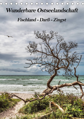 Wunderbare Ostseelandschaft Fischland-Darß-Zingst (Tischkalender 2023 DIN A5 hoch) von Thomas,  Natalja