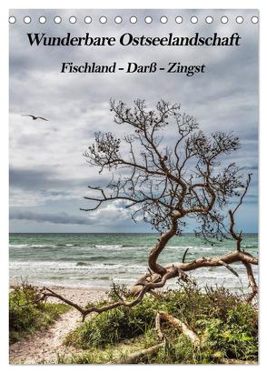 Wunderbare Ostseelandschaft Fischland-Darß-Zingst (Tischkalender 2024 DIN A5 hoch), CALVENDO Monatskalender von Thomas,  Natalja