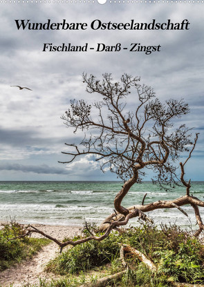 Wunderbare Ostseelandschaft Fischland-Darß-Zingst (Wandkalender 2022 DIN A2 hoch) von Thomas,  Natalja