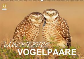 Wunderbare Vogelpaare (Wandkalender 2019 DIN A2 quer) von birdimagency.com