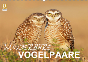 Wunderbare Vogelpaare (Wandkalender 2020 DIN A2 quer) von birdimagency.com