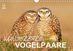 Wunderbare Vogelpaare (Wandkalender 2020 DIN A4 quer) von birdimagency.com