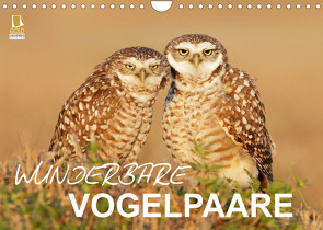 Wunderbare Vogelpaare (Wandkalender 2022 DIN A4 quer) von birdimagency.com