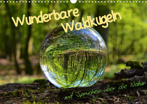 Wunderbare Waldkugeln (Wandkalender 2022 DIN A3 quer) von Stark-Hahn,  Ilona