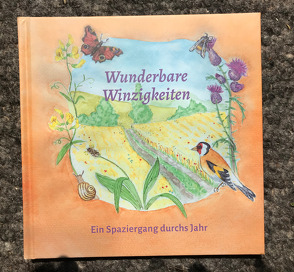 Wunderbare Winzigkeiten von Kulow,  Dietlind, Meyer,  Esther, Rüdiger,  Niclas