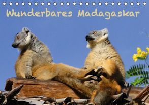 Wunderbares Madagaskar (Tischkalender immerwährend DIN A5 quer) von Schiffer,  Michaela