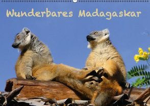 Wunderbares Madagaskar (Wandkalender immerwährend DIN A2 quer) von Schiffer,  Michaela