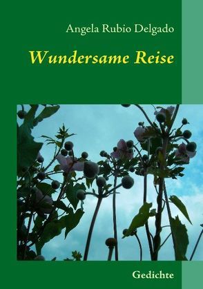 Wundersame Reise von Rubio Delgado,  Angela