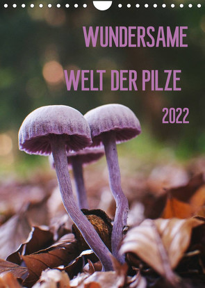 Wundersame Welt der Pilze (Wandkalender 2022 DIN A4 hoch) von Naumann,  Conny