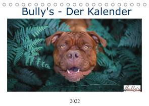 Wunderschöne Bulldoggen (Tischkalender 2022 DIN A5 quer) von Video Verlags GmbH,  Power