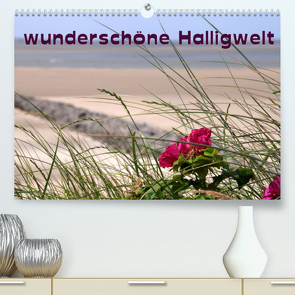 wunderschöne Halligwelt (Premium, hochwertiger DIN A2 Wandkalender 2022, Kunstdruck in Hochglanz) von Jerneinzick,  Doris