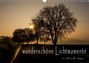 wunderschöne Lichtmomente (Wandkalender 2022 DIN A3 quer) von Vornberger,  Julia