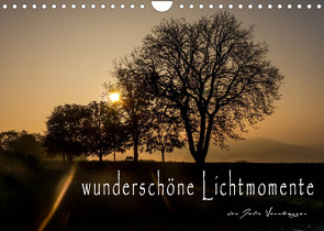 wunderschöne LichtmomenteAT-Version (Wandkalender 2022 DIN A4 quer) von Vornberger,  Julia