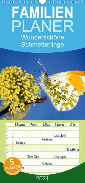 Wunderschöne Schmetterlinge – Familienplaner hoch (Wandkalender 2021 , 21 cm x 45 cm, hoch) von Reupert,  Lothar