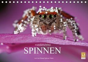 Wunderschöne Spinnen (Tischkalender 2018 DIN A5 quer) von Manuel Iglesias Nuñez,  Luis