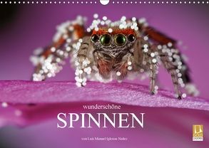 Wunderschöne Spinnen (Wandkalender 2018 DIN A3 quer) von Manuel Iglesias Nuñez,  Luis