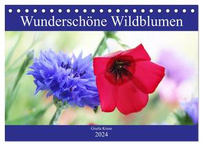 Wunderschöne Wildblumen (Tischkalender 2024 DIN A5 quer), CALVENDO Monatskalender von Kruse,  Gisela