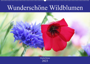 Wunderschöne Wildblumen (Wandkalender 2023 DIN A2 quer) von Kruse,  Gisela