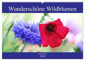 Wunderschöne Wildblumen (Wandkalender 2024 DIN A2 quer), CALVENDO Monatskalender von Kruse,  Gisela