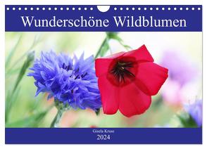 Wunderschöne Wildblumen (Wandkalender 2024 DIN A4 quer), CALVENDO Monatskalender von Kruse,  Gisela