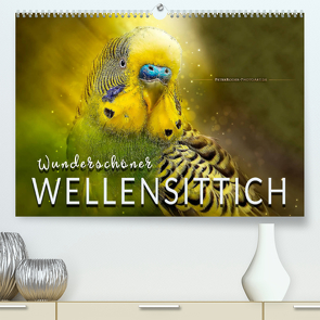 Wunderschöner Wellensittich (Premium, hochwertiger DIN A2 Wandkalender 2023, Kunstdruck in Hochglanz) von Roder,  Peter