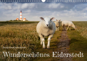 Wunderschönes Eiderstedt (Wandkalender 2023 DIN A3 quer) von Moswald,  Ulla
