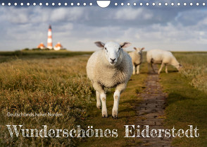 Wunderschönes Eiderstedt (Wandkalender 2023 DIN A4 quer) von Moswald,  Ulla