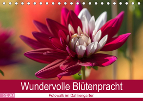 Wundervolle Blütenpracht – Fotowalk im Dahliengarten (Tischkalender 2020 DIN A5 quer) von und Sonja Teßen,  André