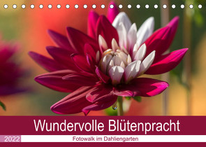 Wundervolle Blütenpracht – Fotowalk im Dahliengarten (Tischkalender 2022 DIN A5 quer) von und Sonja Teßen,  André