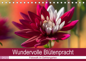 Wundervolle Blütenpracht – Fotowalk im Dahliengarten (Tischkalender 2023 DIN A5 quer) von und Sonja Teßen,  André