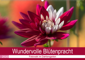 Wundervolle Blütenpracht – Fotowalk im Dahliengarten (Wandkalender 2020 DIN A2 quer) von und Sonja Teßen,  André