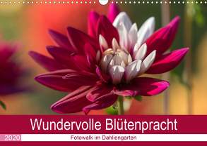 Wundervolle Blütenpracht – Fotowalk im Dahliengarten (Wandkalender 2020 DIN A3 quer) von und Sonja Teßen,  André