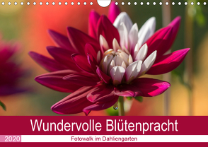 Wundervolle Blütenpracht – Fotowalk im Dahliengarten (Wandkalender 2020 DIN A4 quer) von und Sonja Teßen,  André