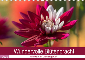 Wundervolle Blütenpracht – Fotowalk im Dahliengarten (Wandkalender 2022 DIN A2 quer) von und Sonja Teßen,  André