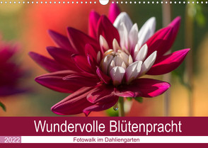 Wundervolle Blütenpracht – Fotowalk im Dahliengarten (Wandkalender 2022 DIN A3 quer) von und Sonja Teßen,  André